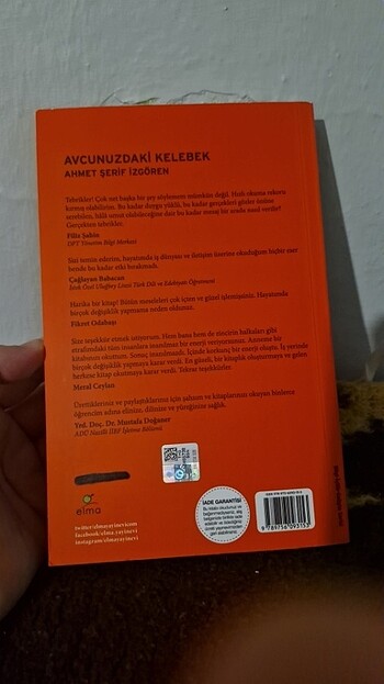 Avunuzdaki kelebek