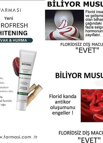  Beden Renk FARMASİ MİSVAK VE HURMA ÖZLÜ FLORÜRSÜZ DİŞ MACUNU 