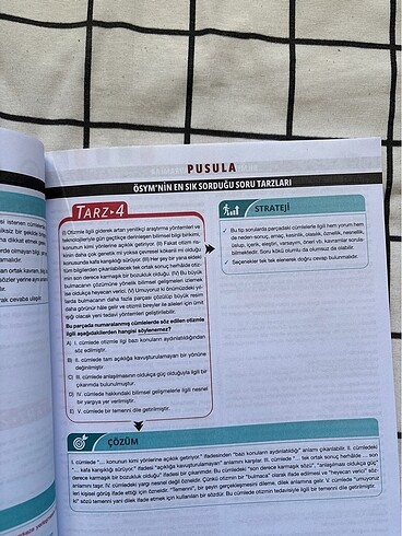  Beden Renk Paragraf koçu soru bankası