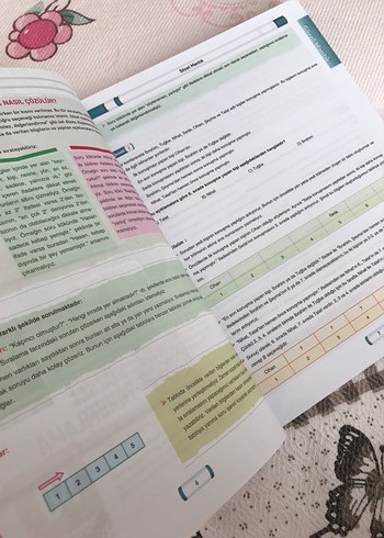 LGS Mantık ve Muhakeme Soru Bankası