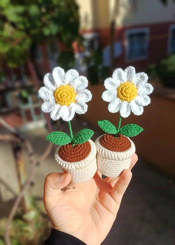 El Örgüsü Papatya Saksı Çiçekler - Görsel 2