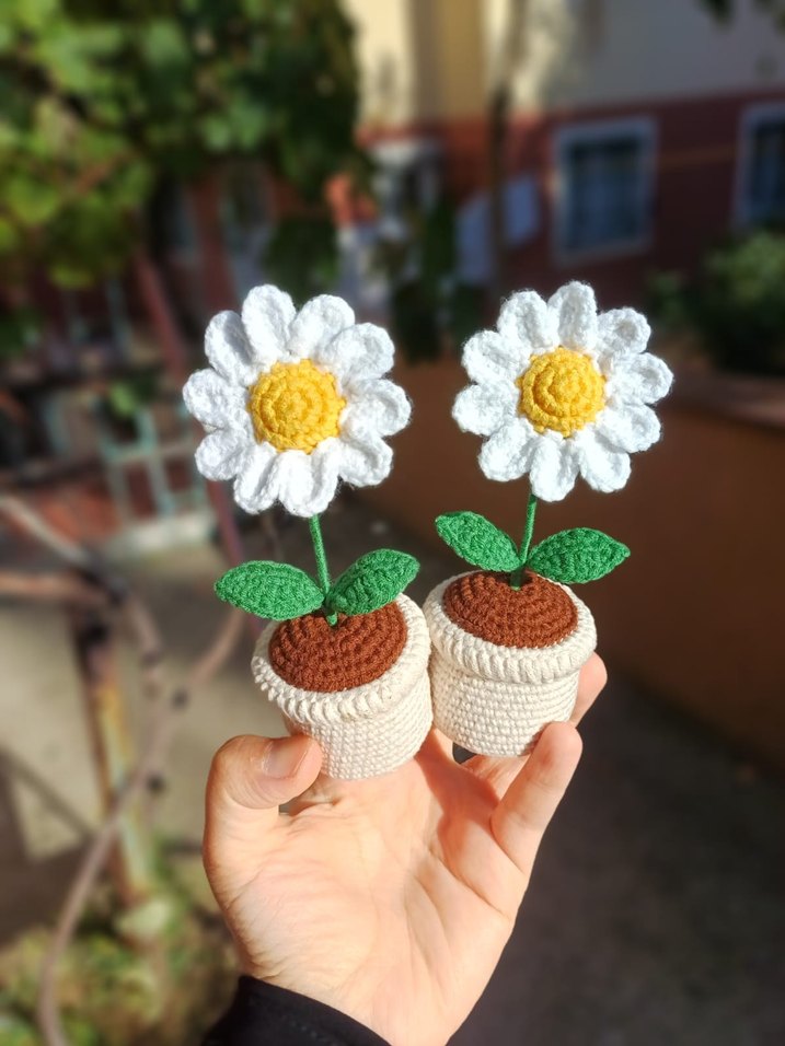 El Örgüsü Papatya Saksı Çiçekler - Görsel 2