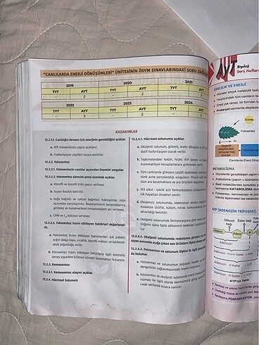 Beden Renk Ayt zeliha Yücel biyoloji soru bankası
