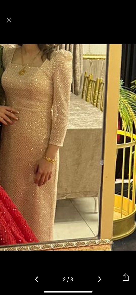 Bej ges Kollu Dantel İşlemeli Abiye Elbise - Görsel 4