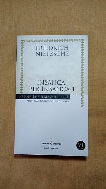 Nietzsche İnsanca, Pek İnsanca -1