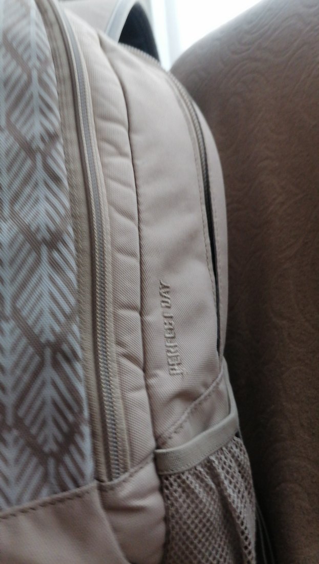 JACK WOLFSKİN SIRT ÇANTASI - Görsel 3