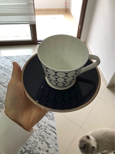 6 adet karaca çay fincanı tabağı (fincansız)