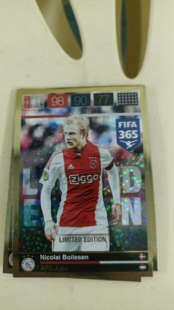 Panini limited kartlar