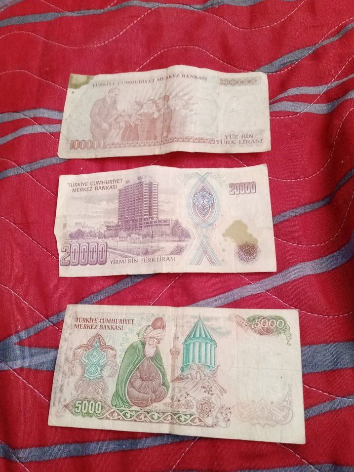 Eski Türk Lirası Banknot Seti - Kırmızı Tonlar - Görsel 5