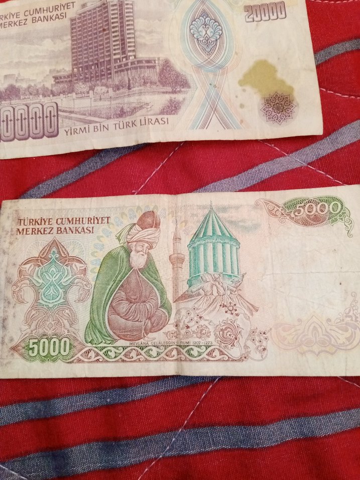 Eski Türk Lirası Banknot Seti - Kırmızı Tonlar - Görsel 4