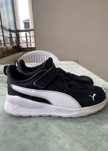 Puma 26