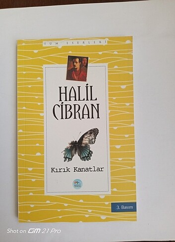 Kırık kanatlar