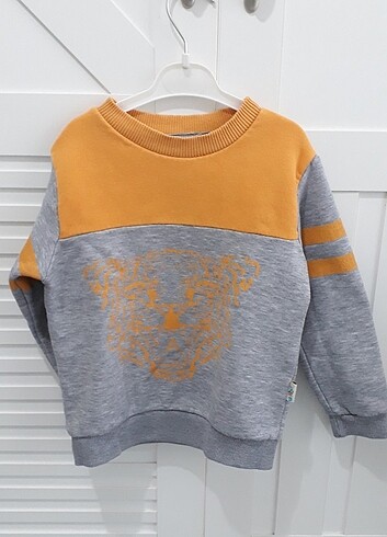 Sweatshirt