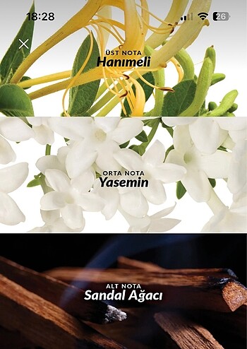  Beden Vücut spreyi