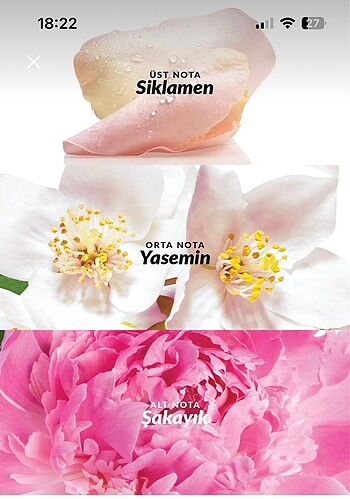 Avon Avon parfüm