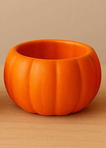 Turuncu Kabak Saksı ve Sukulent - Görsel 2