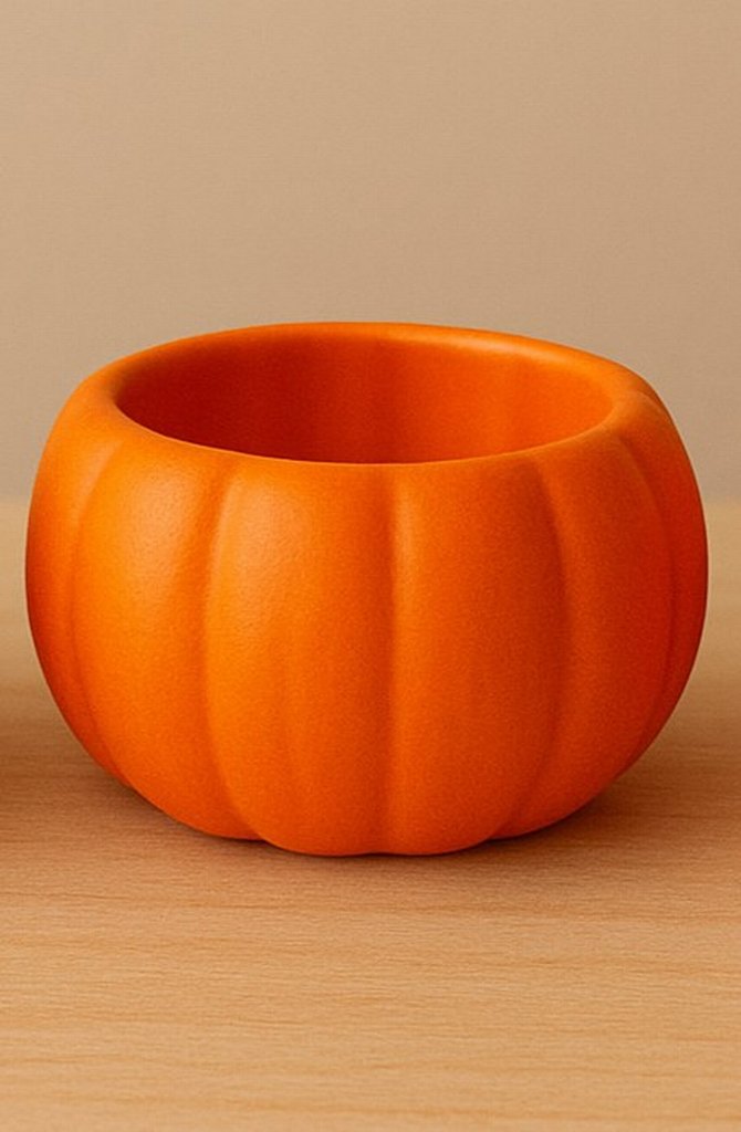 Turuncu Kabak Saksıda Sukulent 3 lu - Görsel 2