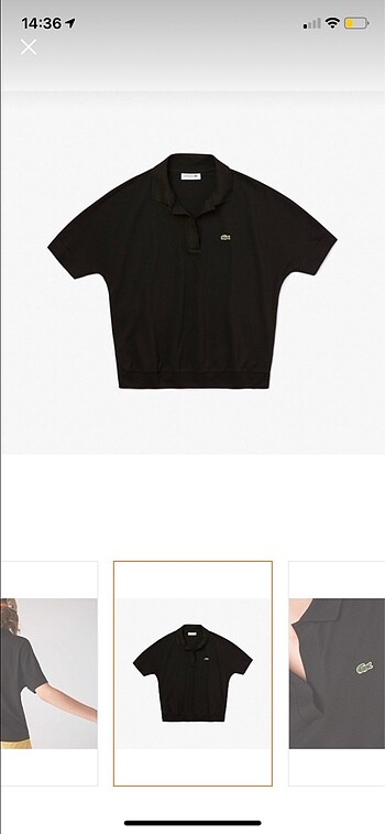 Lacoste Lacoste tshirt