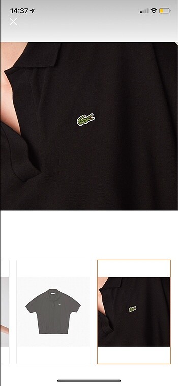 s Beden Lacoste tshirt