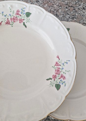 pasta tabaği - Görsel 2