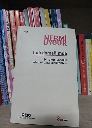 TADI DAMAĞIMDA NERMİ UYGUR