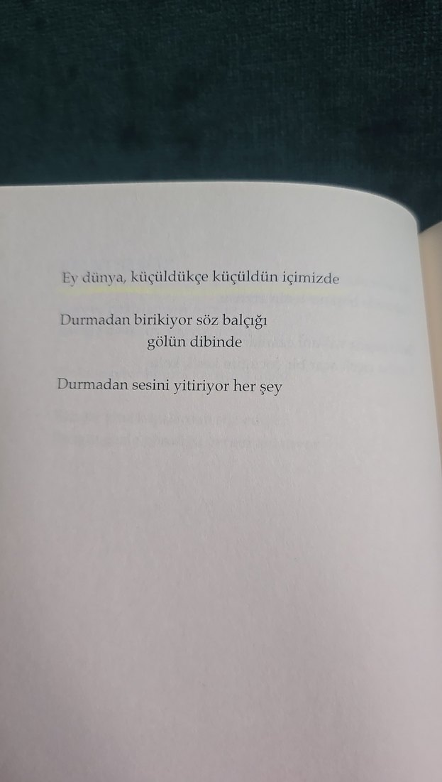 Belki Sessiz - Gonca Özmen - Görsel 3