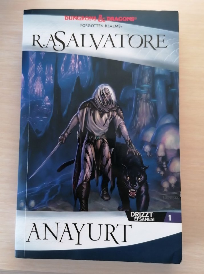 R.A. Salvatore Fantastik Kitap Seti - Görsel 2
