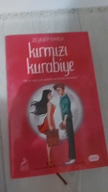Beden Renk Ayçöreği serisi
