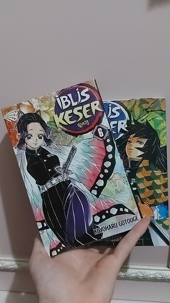 Demon Slayer Ciltli Manga