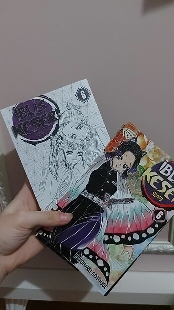  Beden Renk Demon Slayer Ciltli Manga