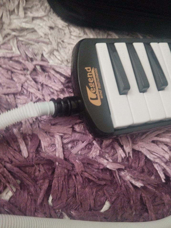 siyah 32 Tuşlu Melodika Legend - Görsel 2