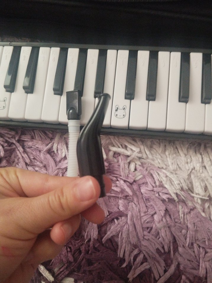 siyah 32 Tuşlu Melodika Legend - Görsel 3