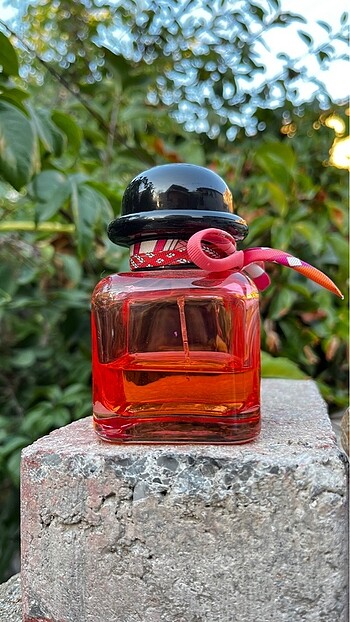 Hermes Hermes Twilly