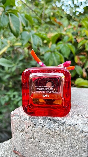 Beden Renk Hermes Twilly