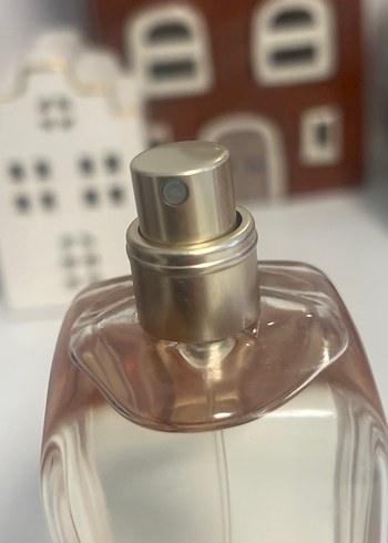 Un Jardin Sur La Lagune - Görsel 5