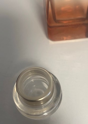 Un Jardin Sur La Lagune - Görsel 4