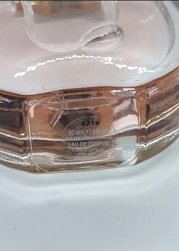 Chloé Nomade