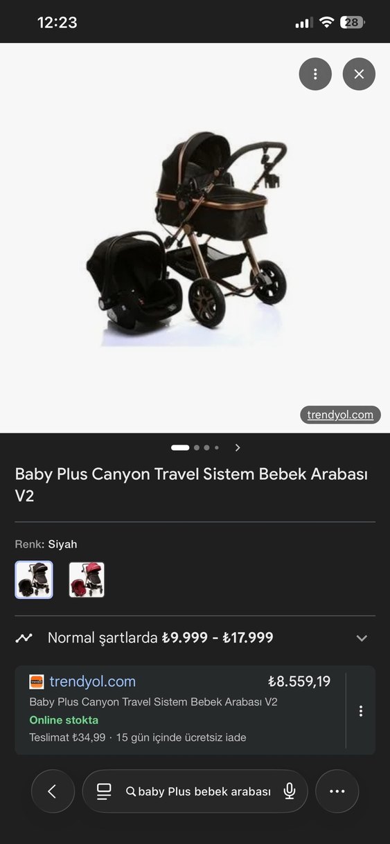 Siyah Bebek Arabası - Görsel 4