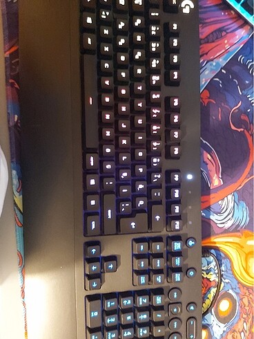 Loghitech g213