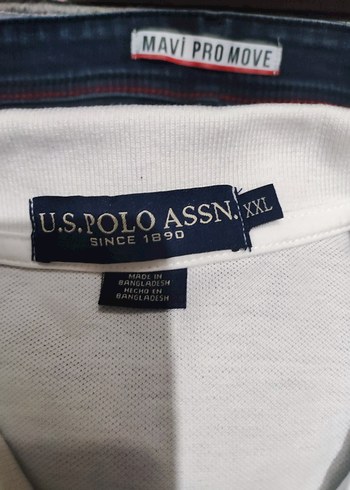 Erkek Beyaz Kısa Kollu Polo Tişört - Görsel 4