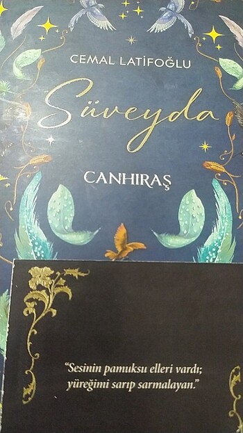  Beden Renk Süveyda kitap 
