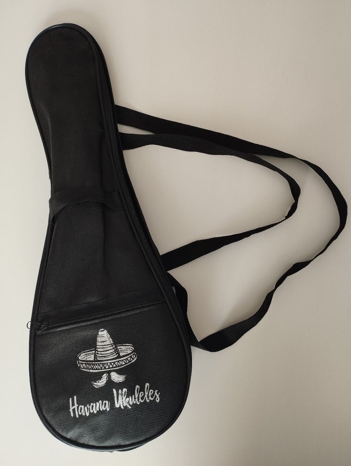 Cadenza marka soprano  Ukulele Çantasıyla ve aparatıyla - Görsel 2