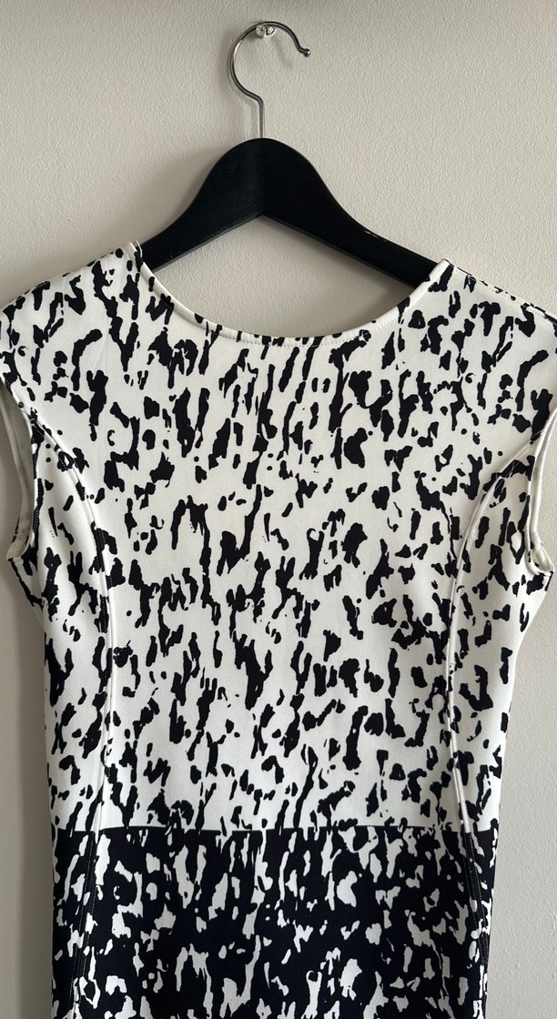 Kadın Siyah Beyaz Yılan Desenli Kalem Elbise - Görsel 2