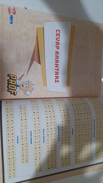  Beden Test Kitabı 