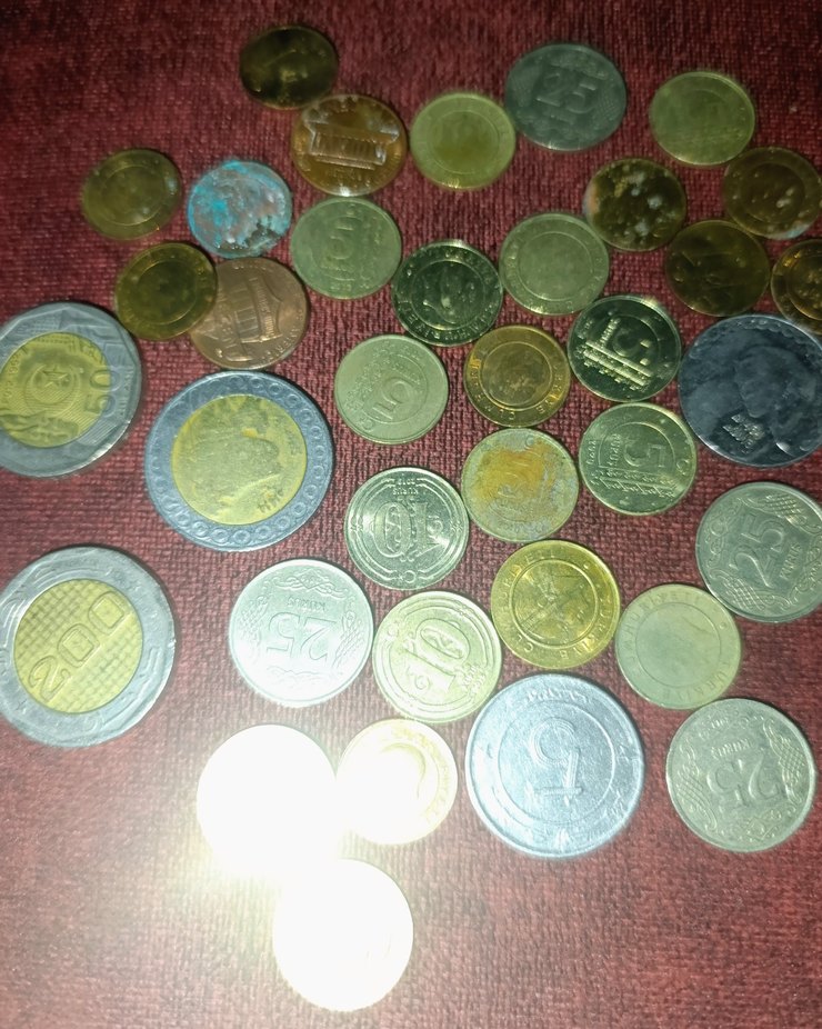 Parlak Altın ve Gümüş Renkli Bozuk Para Seti - Görsel 2