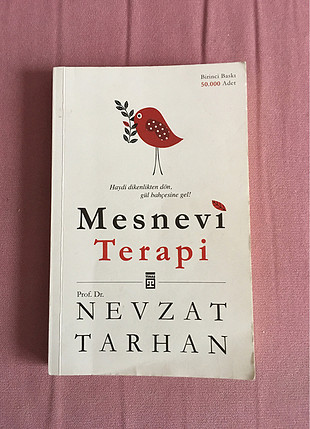 Mesnevi terapi 