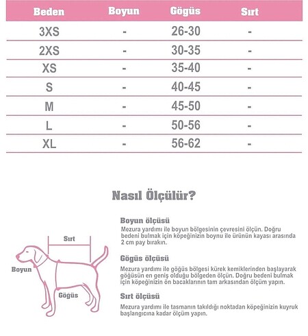 MyCurli köpek tasması - Görsel 5