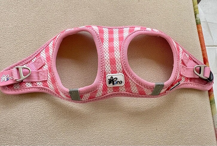 MyCurli köpek tasması - Görsel 2