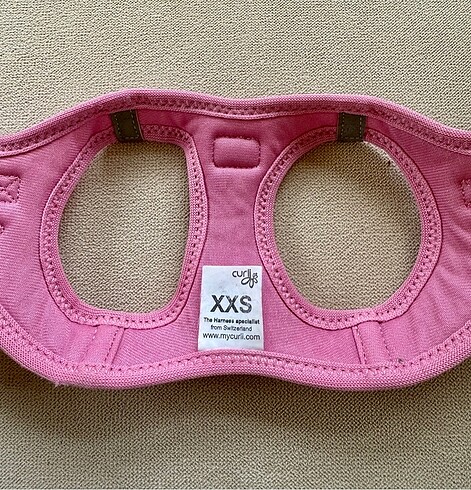 MyCurli köpek tasması - Görsel 3