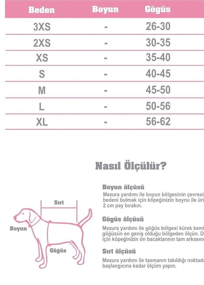 MyCurli köpek tasması - Görsel 5